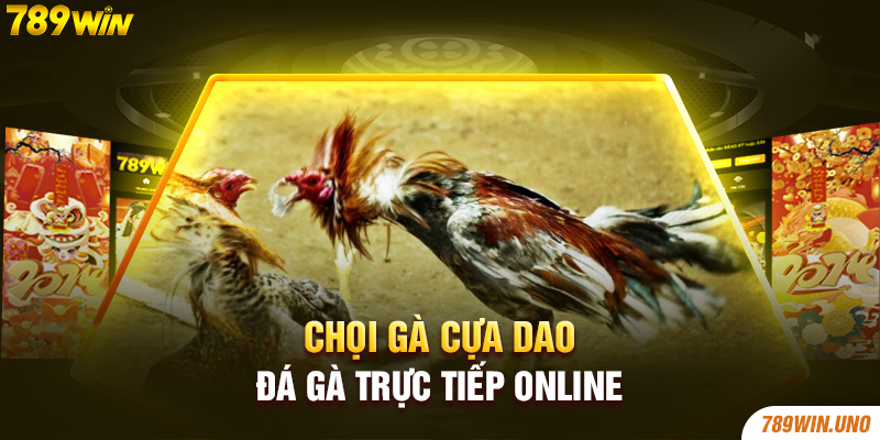 Chọi gà cựa dao đá gà trực tiếp online 