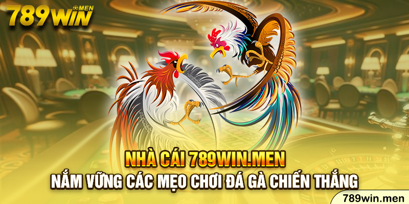 Nắm vững các mẹo chơi đá gà chiến thắng