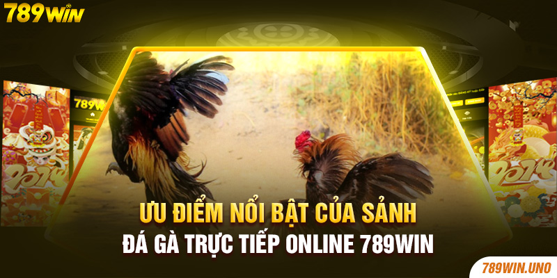 Ưu điểm nổi bật của sảnh đá gà trực tiếp online 789Win