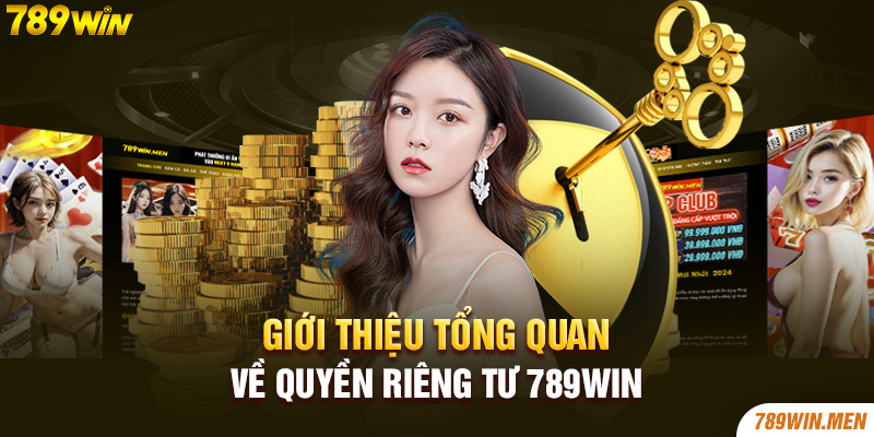 Giới thiệu tổng quan về quyền riêng tư 789Win