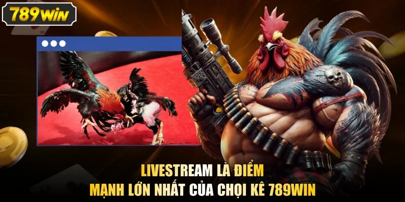 Livestream là điểm mạnh lớn nhất của chọi kê 789win